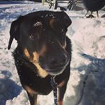 andrew - Instagram Profile Picture of andrew (@andrewaurichio) on Instagram