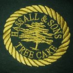 Profile Picture of Rob Hassall (@hassallandsons_treecare) on Instagram