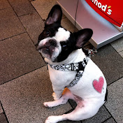 Profile Picture of Chase Wright (@chasewright7870) on Youtube