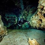 Profile Picture of Clint Warren (@clintw6) on Instagram