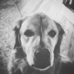 ben sheldon - Instagram Profile Picture of ben sheldon (@bensheldon077) on Instagram