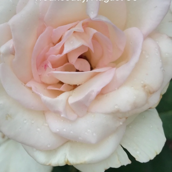 Janis Andre - Poshmark Profile Picture of Janis Andre (@jandrade7) on Poshmark