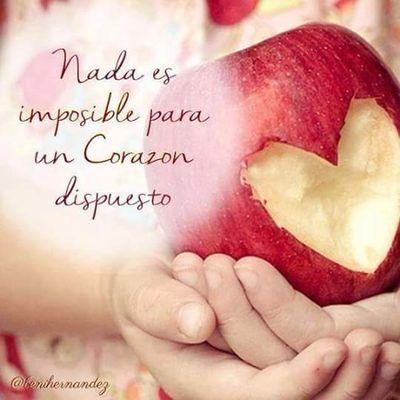 Profile Picture of Miriam Avila Olea (@ZaraAmbar) on Twitter