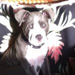 Annette Bell-Crystal - Instagram Profile Picture of Annette Bell-Crystal (@koacrystal) on Instagram