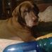 Profile Picture of Debbie Stevens (@debbie.stevens.37853734) on Facebook