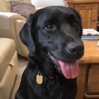Profile Picture of Caryn & GD Piper (@CarynYoung19) on Twitter