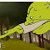 Profile Picture of Jeffrey Reisch (@jeffreyr0985) on Pinterest