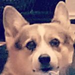 Profile Picture of Daniel Okerson (@dannyo31) on Instagram