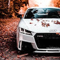 Profile Picture of Mohammed Ibrahim Boudjemai (@mohammed-ibrahim-boudjemai) on Quora