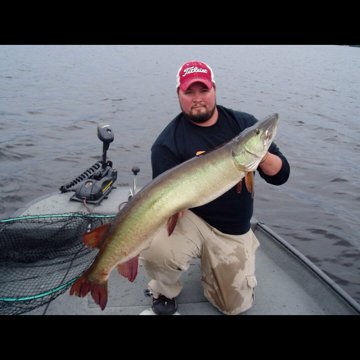 Profile Picture of Raising Caine (@MarkCaine2) on Twitter