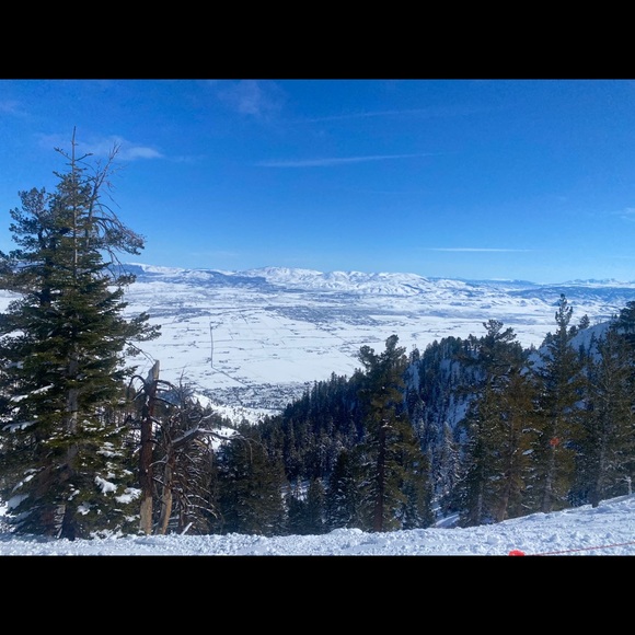 Profile Picture of Saad Attie (@saadattie) on Poshmark