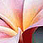 Profile Picture of Sean Tracy (@usnunlv) on Flickr