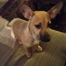 Profile Picture of Robert The Spood (@TrevathanRobert) on Twitter