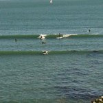 Profile Picture of Brandon Caplette (@olddirty_ya_heardy) on Instagram