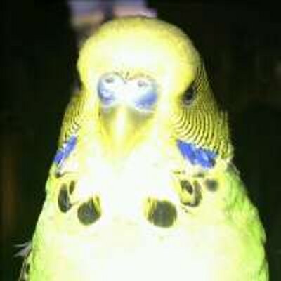 Profile Picture of Christopher Bayliss (@ChrisB_tks) on Twitter