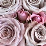 Profile Picture of Lisa Pattee (@eettap21) on Instagram