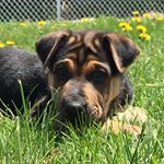 Penelope Annabelle Mitchell - Instagram Profile Picture of Penelope Annabelle Mitchell (@pennygirl_m) on Instagram