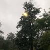 Profile Picture of catherineabrams (@@catherineabrams) on Tiktok
