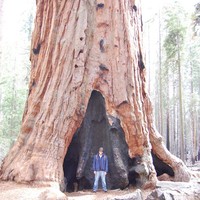 Profile Picture of Michael Rautenberg (@michael-rautenberg) on Quora