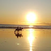 Profile Picture of Michael Moline (@michael-moline-13) on Quora