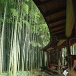 Tony Lahoud - Instagram Profile Picture of Tony Lahoud (@tony.lahoud.543) on Instagram