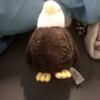 Profile Picture of Richardjedlicka (@richardjedlicka) on Tiktok