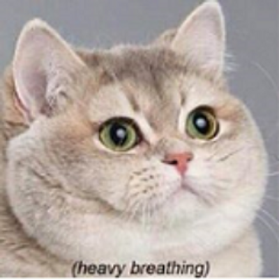 Profile Picture of Emily Tinder (@mylifeisawreck) on Twitter