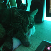 Profile Picture of Peter Hofbauer (@peterhofbauer5581) on Youtube