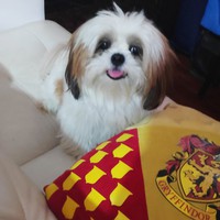 Profile Picture of Ernest Kyle Ty (@ernest-kyle-ty) on Quora