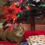 Profile Picture of Cami Campbell (@cami.campbell.58) on Facebook