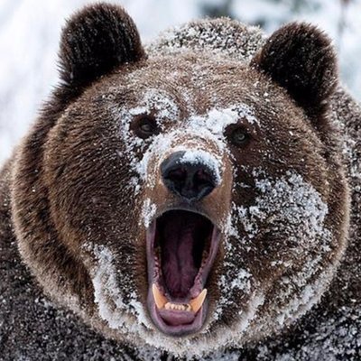 Profile Picture of Alan Quake (@mvpUrsol) on Twitter