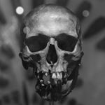 Profile Picture of Alex Doig (@loco4tos) on Instagram