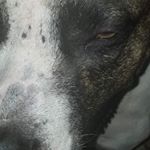 Profile Picture of Gilberto Zapata (@gilberto.zapata.9461) on Instagram