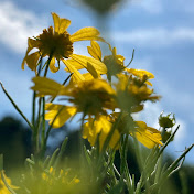 Profile Picture of Jessica Tompkins (@jessicatompkins535) on Youtube