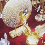 Profile Picture of tariq ibrahim (@tariqibrahim55) on Instagram