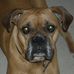 Profile Picture of Lisa Allison (Lisa Peck) (@lisa.allison.581) on Facebook