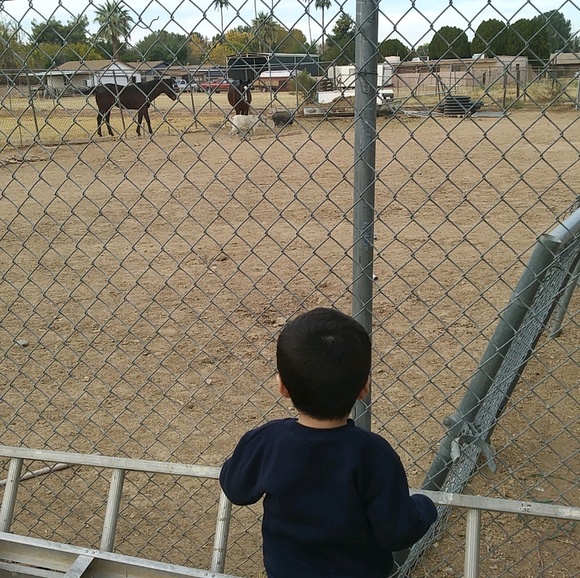 Profile Picture of Alejandro Torres (@atorres1024) on Poshmark