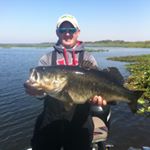 Ron Veale Fishing - Instagram Profile Picture of Ron Veale Fishing (@ronvealefishing) on Instagram