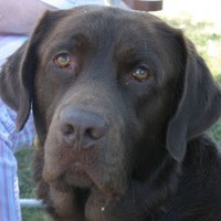 Profile Picture of Mary Davey (@mary-davey-9) on Quora