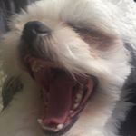 Profile Picture of jacob ashcraft (@jake_._spamm) on Instagram