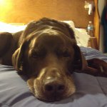 Profile Picture of Chip Rogers (@chiprogers1) on Instagram