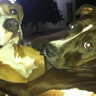 Profile Picture of Julie Polaschek Elliott (@julie.p.elliott.9) on Facebook