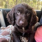 Kelly Johnson - Instagram Profile Picture of Kelly Johnson (@kellyjoswofford) on Instagram