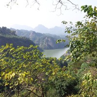 Profile Picture of Dillon Li (@dillon-li-4) on Quora