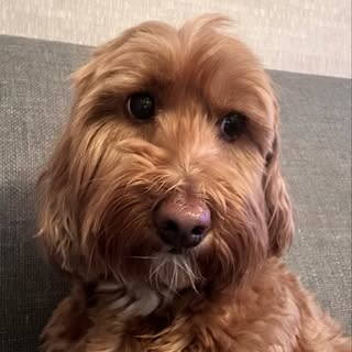 Profile Picture of marcellaholt (@marcellaholt) on Instagram