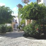 Colette Crowley - Instagram Profile Picture of Colette Crowley (@crowley.colette) on Instagram