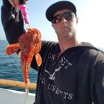 Profile Picture of Kevin Searle (@searlekevin7) on Instagram