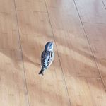 Profile Picture of Andrew Booker (@andrewmbooker) on Instagram