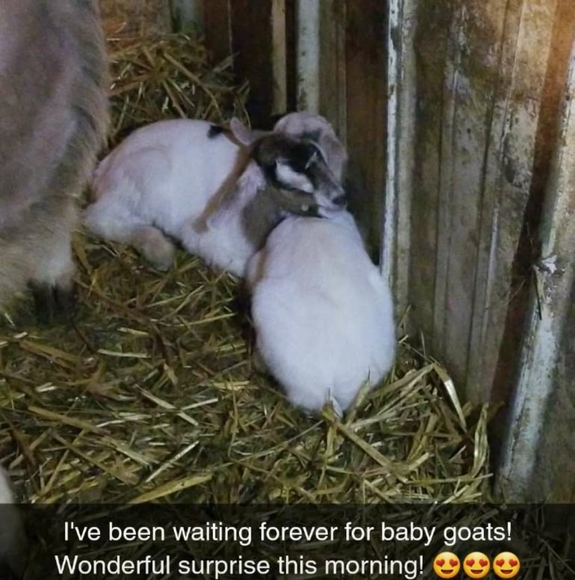 Profile Picture of Roxanne Lowe (@roxie1116) on Poshmark