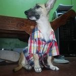 Profile Picture of Gretchen Bernadette Cortez (@gritsindria) on Instagram